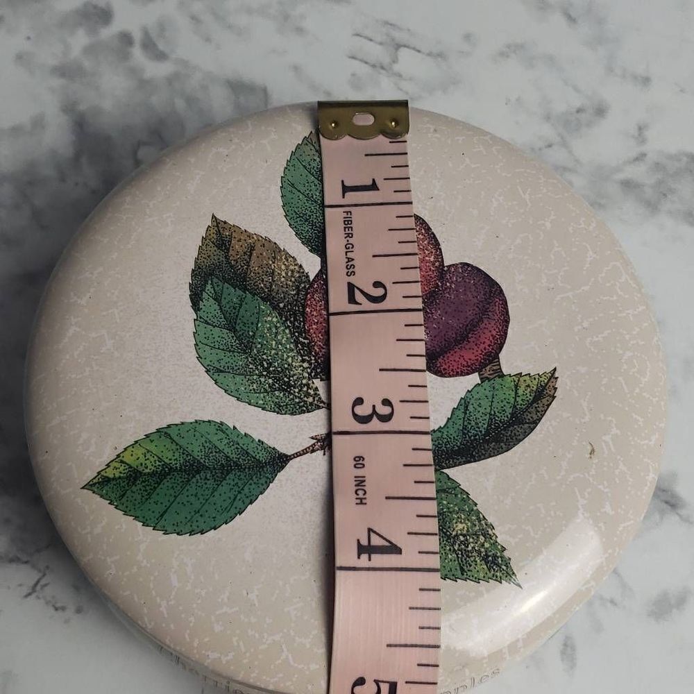 Fruit Tin Storage Container - Picture 6 of 7